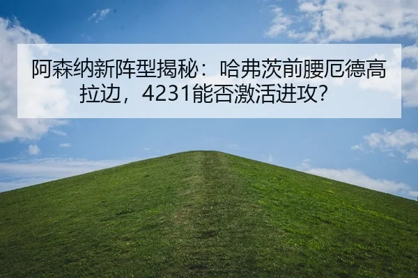 a-sen-na-xin-zhen-xing-jie-mi-ha-fu-ci-qian-yao-e-de-gao-la-bian-neng-fou-ji-huo-jin-gong-2-343.jpg